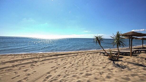 A beach with sand, palm trees, and a clear sky. - Authentique maison Montagne (Nohèdes)
