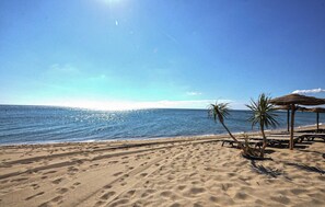 A beach with sand, palm trees, and a clear sky. - Authentique maison Montagne (Nohèdes)