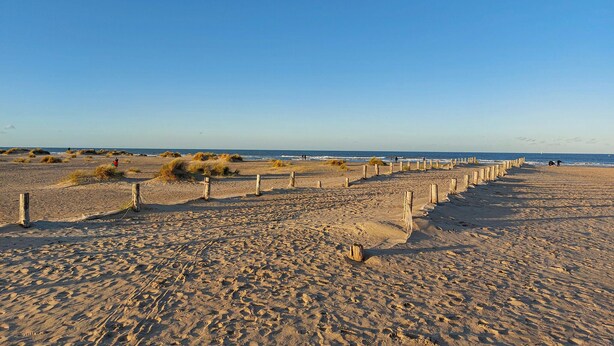 A sandy beach with wooden posts forming a barrier, leading to the ocean. - Jolie maison avec cour (Grand-Fort-Philippe)