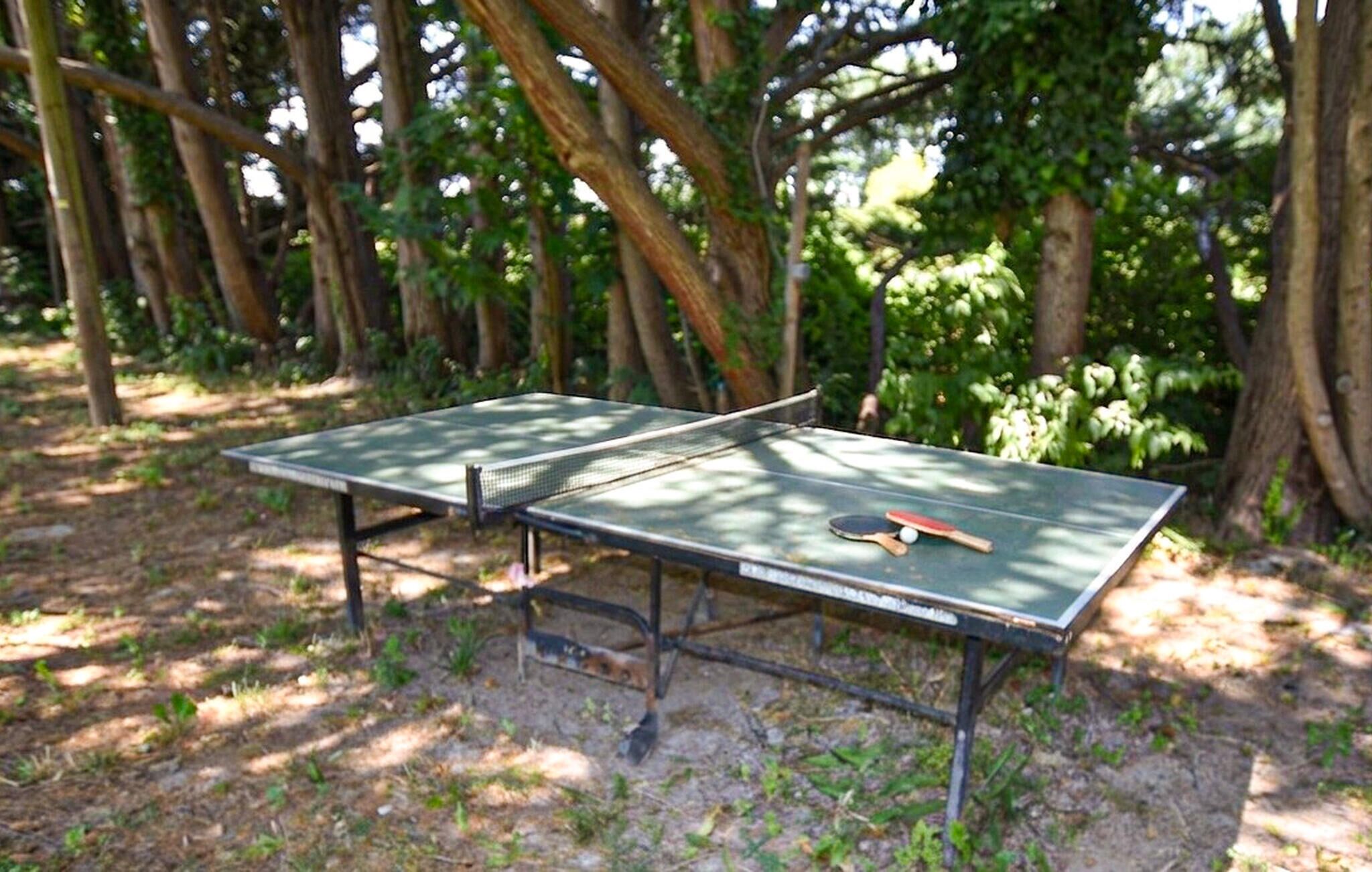 A ping pong table in a wooded area.