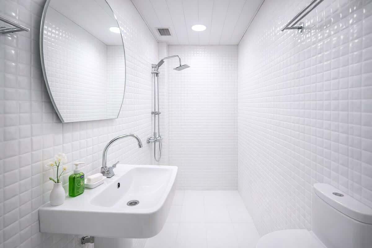 Douche, sèche-cheveux, shampoing