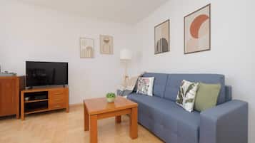 Fernseher, Arbeitsbereiche