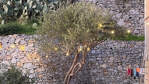 Eine Steinmauer mit Baum, Außenbeleuchtung und Topfpflanzen.