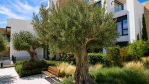 Un bâtiment moderne doté d’un jardin bien entretenu, comprenant un grand arbre et un banc.