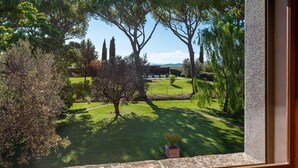 Blick durch ein Fenster auf einen gepflegten Garten mit Rasen, Bäumen und einer Pergola mit Sitzgelegenheiten.
