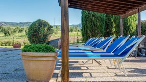 A covered outdoor area with blue lounge chairs and a large potted plant. - Nice apartment in Roccastrada with swimming pool (Roccastrada)