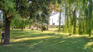 Um parque com árvores, um banco e um caminho bem definido.