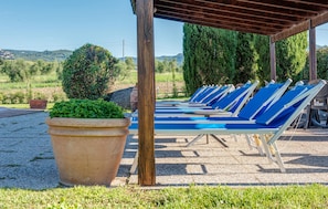 Property grounds - Awesome apartment in Roccastrada (Roccastrada)