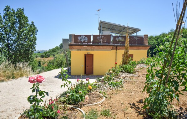 Un petit bâtiment jaune avec une porte marron, entouré d’un jardin où poussent différentes plantes et fleurs.