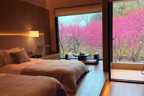 Comfort Twin Room | Desk, WiFi (free), bed sheets