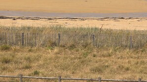 Une plage avec une clôture au premier plan, un ciel dégagé et une mer calme.