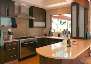 Private kitchen - Spacious 5-bedroom house with mountain views (Cape Town)