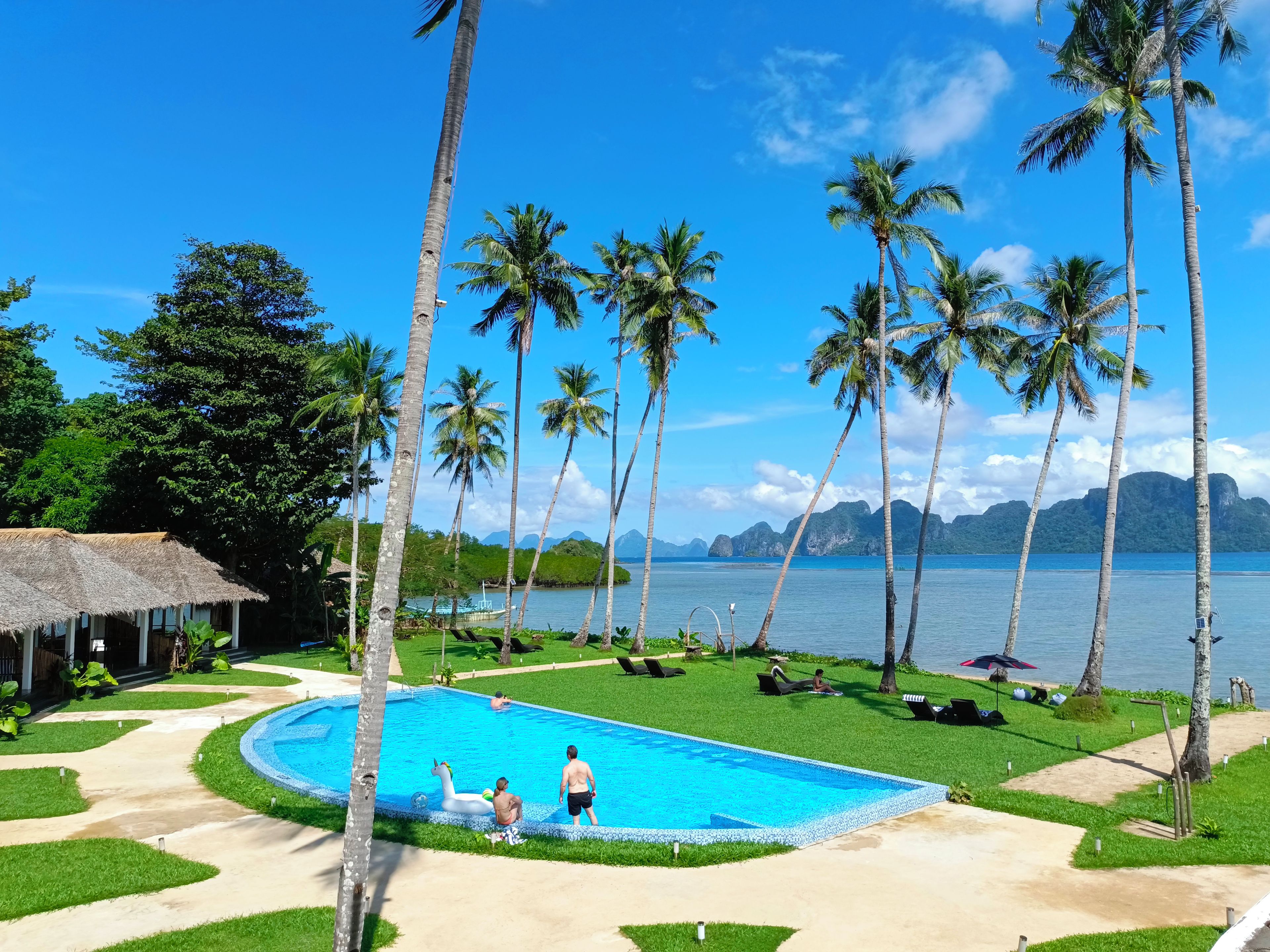 A pool area with palm trees, a thatched-roof structure, and a view of the sea.