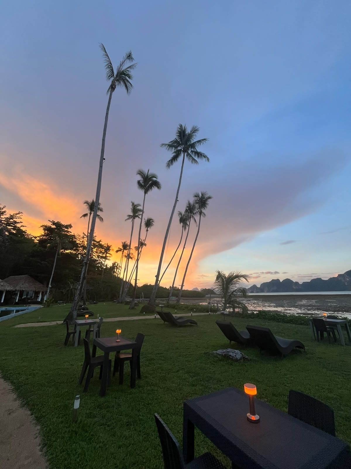 A sunset view with palm trees, a pool, and lounge chairs.
