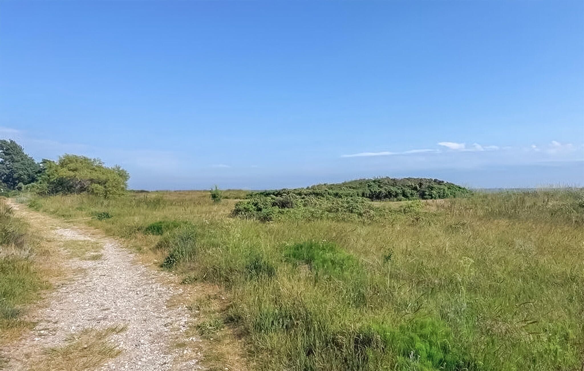 A dirt path leading through a grassy field with a hill in the distance.