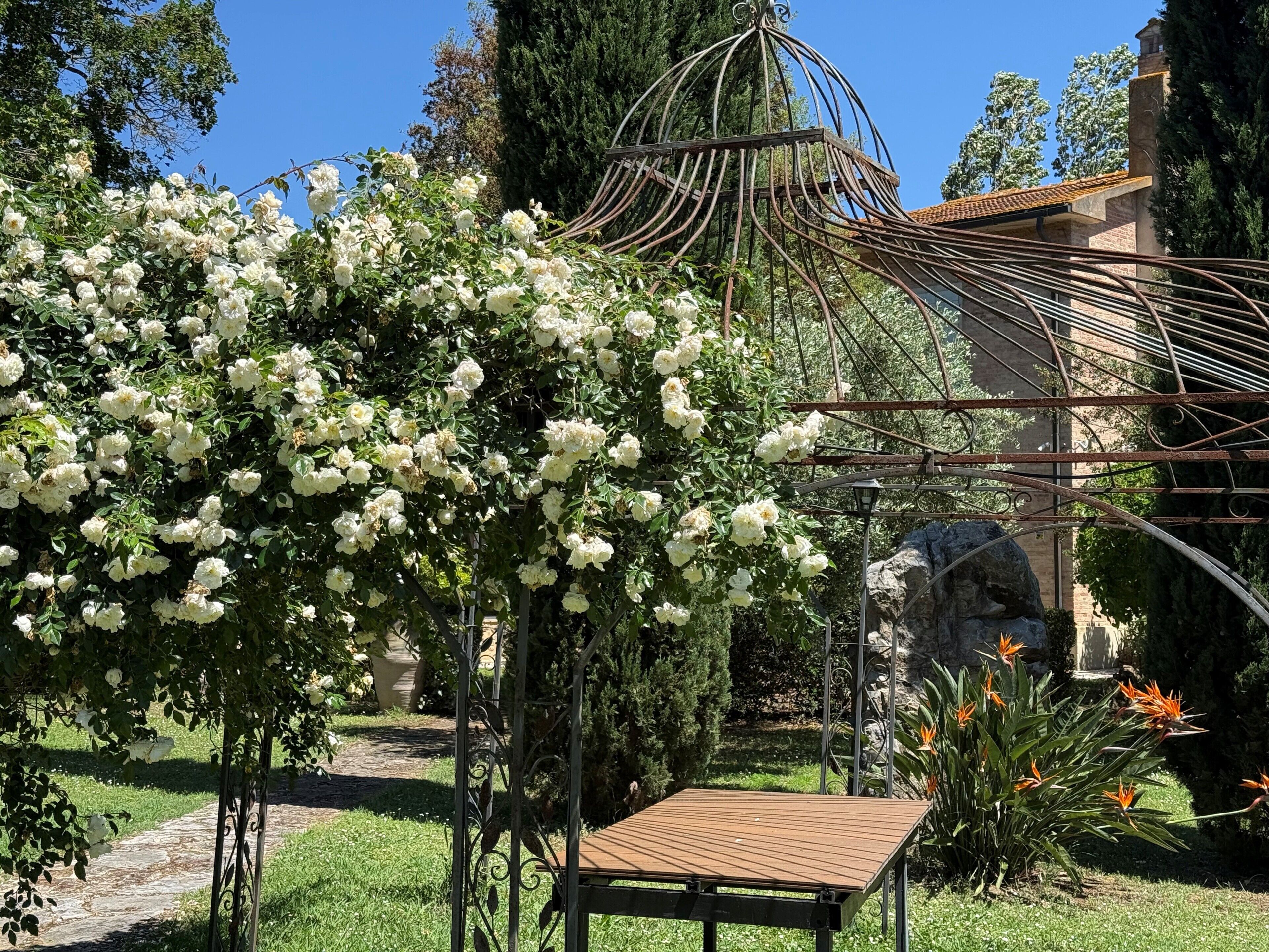 Un jardín con un pérgola cubierta de flores blancas, una estructura de piedra y una mesa de madera.