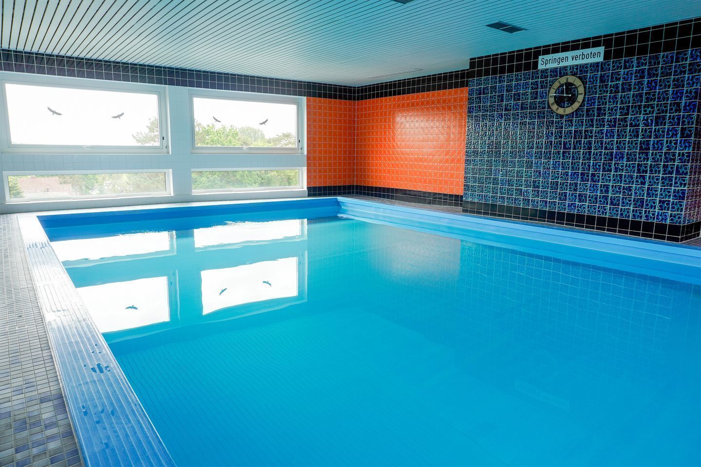 Ein Hallenbad mit klarem, blauem Wasser, einer gefliesten Wand mit einer Uhr und einem Fenster mit Blick auf Bäume.