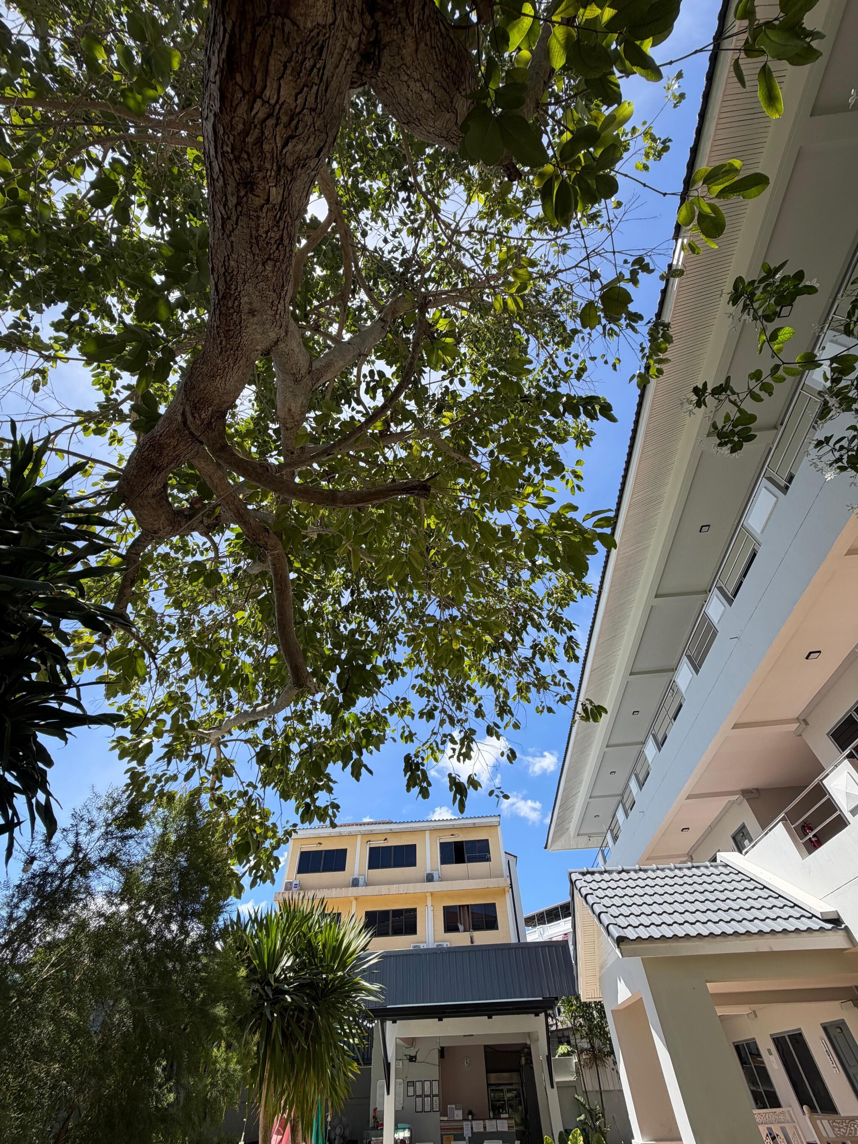 Exterieur