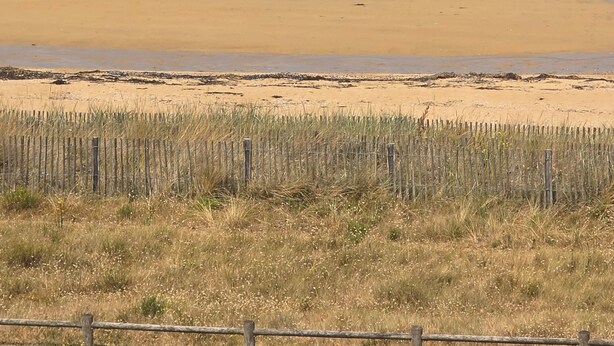 Een strand met een hek op de voorgrond, een heldere lucht en een rustige zee.