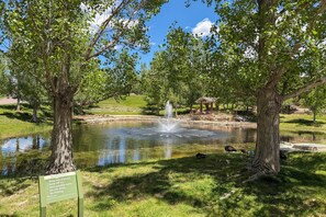 Property grounds - Explore The Springs! Family-Friendly Basement Unit (Colorado Springs)