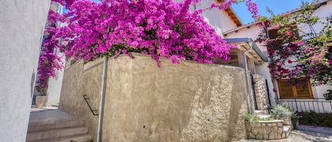 Un edificio con pared de piedra y enredaderas florecientes de color rosa.