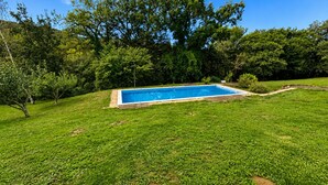 Ein rechteckiger Swimmingpool, umgeben von üppigem Grün und Bäumen.
