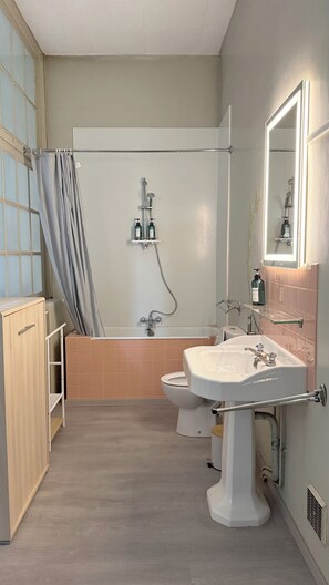 Secadora de cabello, toallas, jabón, papel de baño 