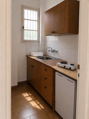 Standard Triple Room, Patio, Garden View | Private kitchen | Fridge, stovetop - Araliki Apartments & Studios (Loutra Edipsou)