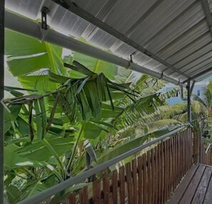Property grounds - A few steps to the beach (Pereybere)