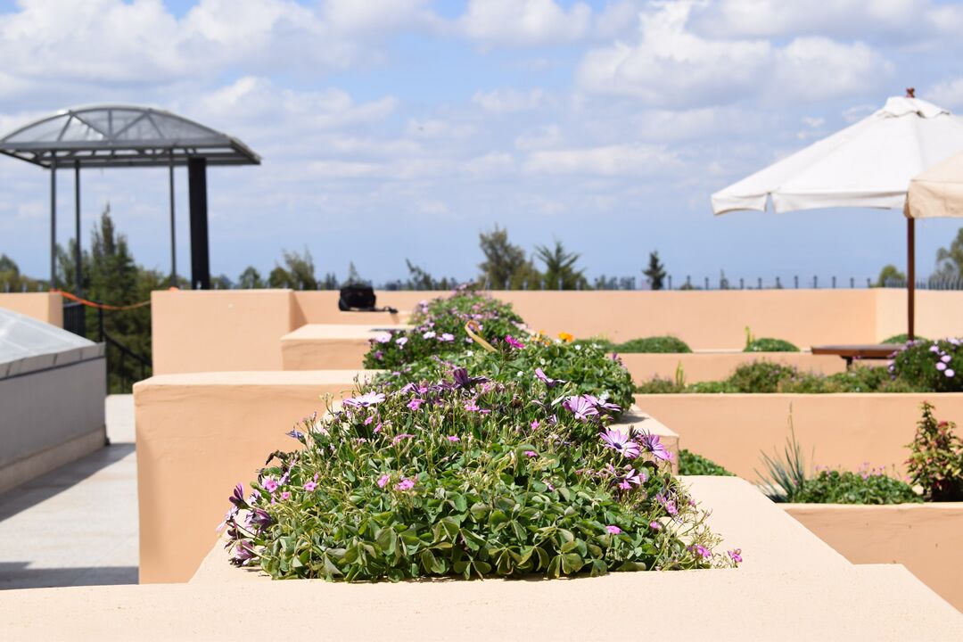Teras rooftop