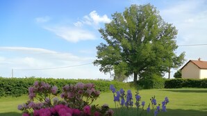 A garden with various flowers and a large tree.
