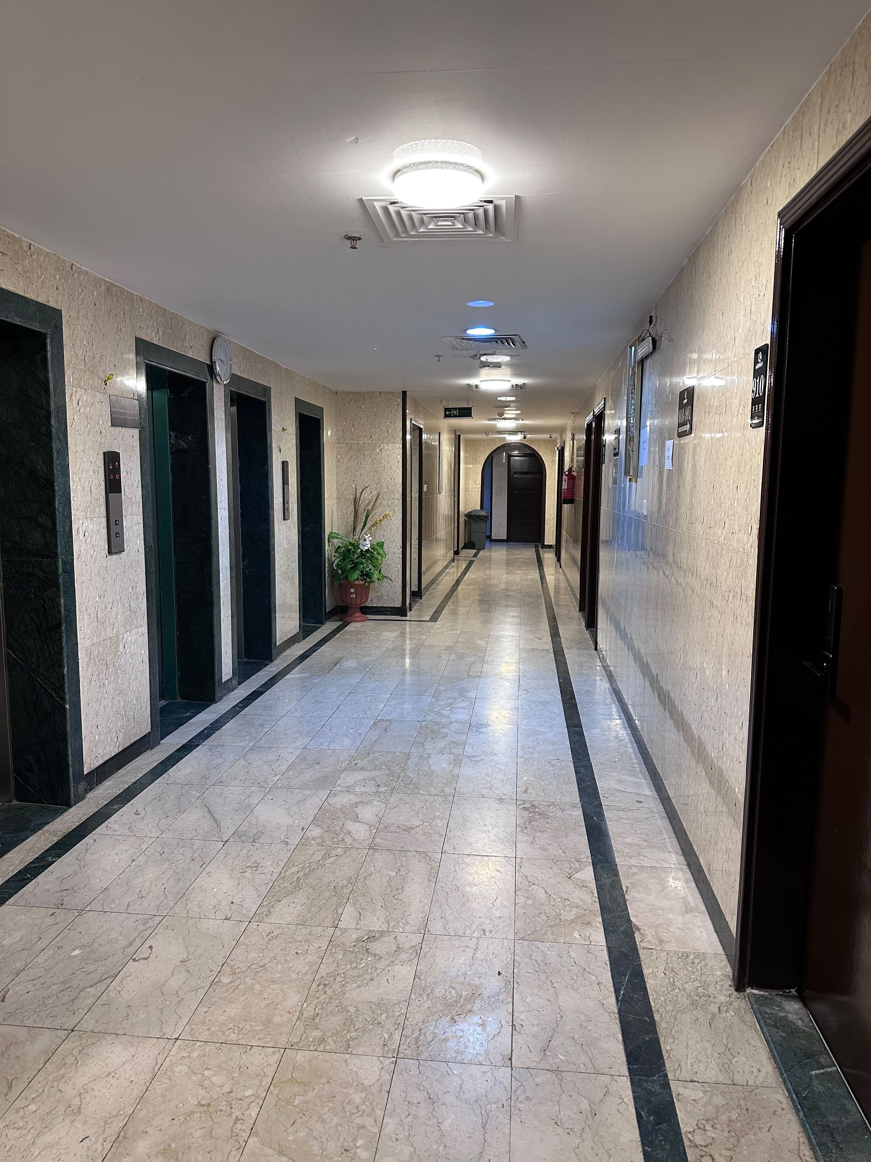 Un pasillo de hotel con piso de mármol, puertas de ascensor y una planta en maceta.