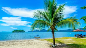 Una playa con una palmera, un bote y una isla distante.