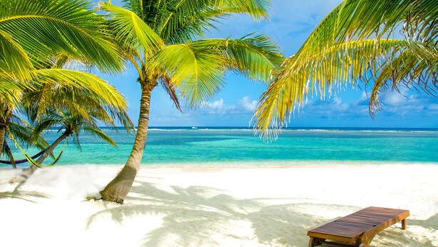 A beach with white sand, a wooden lounge chair, and palm trees.