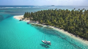 Una isla tropical con aguas turquesas cristalinas, una playa pequeña y una hilera de palmeras.