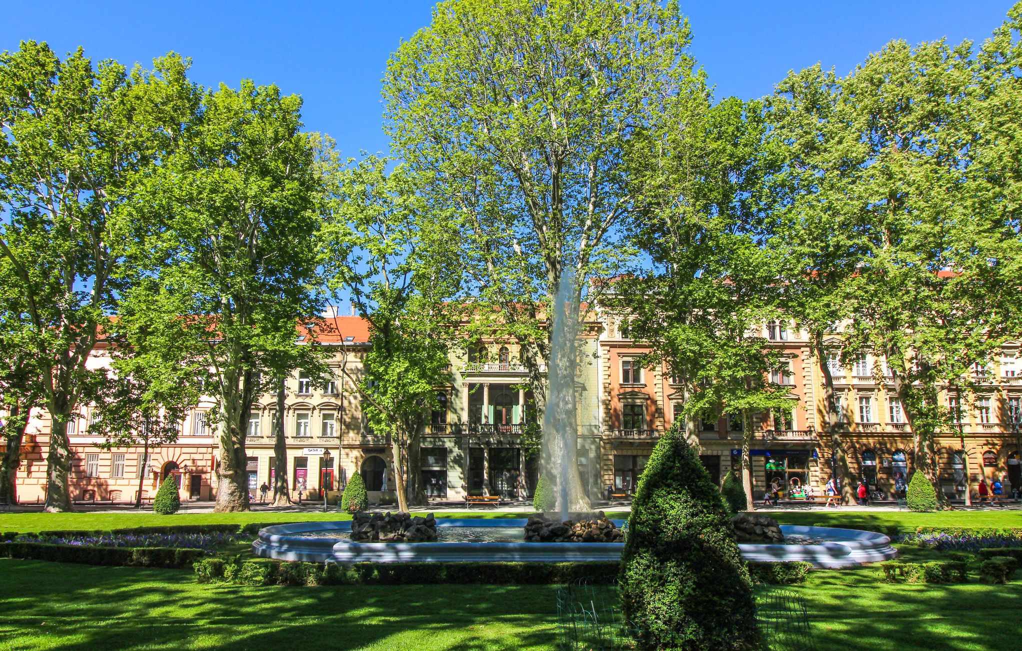 Un gran árbol en un jardín cuidado con una fuente, rodeado de edificios históricos con arquitectura clásica.