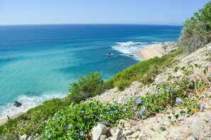 Eine Küstenlandschaft mit Strand, Meer und Vegetation.