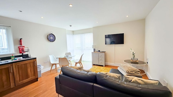 Meridian Bay - 1 Bedroom Apt - Swansea - Swansea