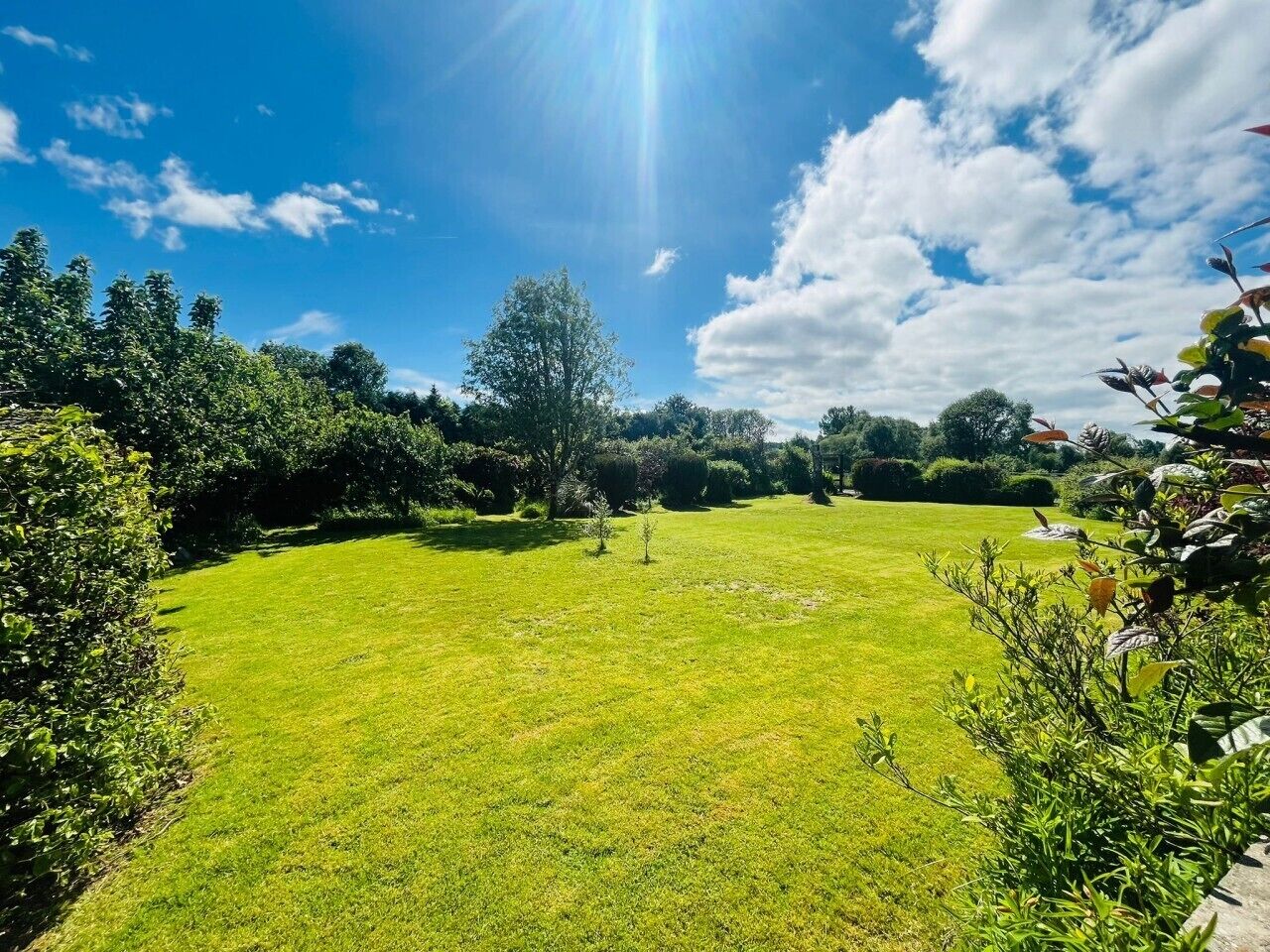 A well-maintained lawn with a clear sky and a few trees in the background.