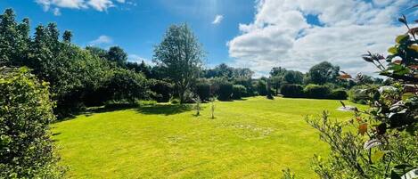 A well-maintained lawn with a clear sky and a few trees in the background.