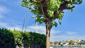 A patio with a table and chairs, a tree, and a view of a body of water. - THE TAMARISSIERE RETREAT (Agde)