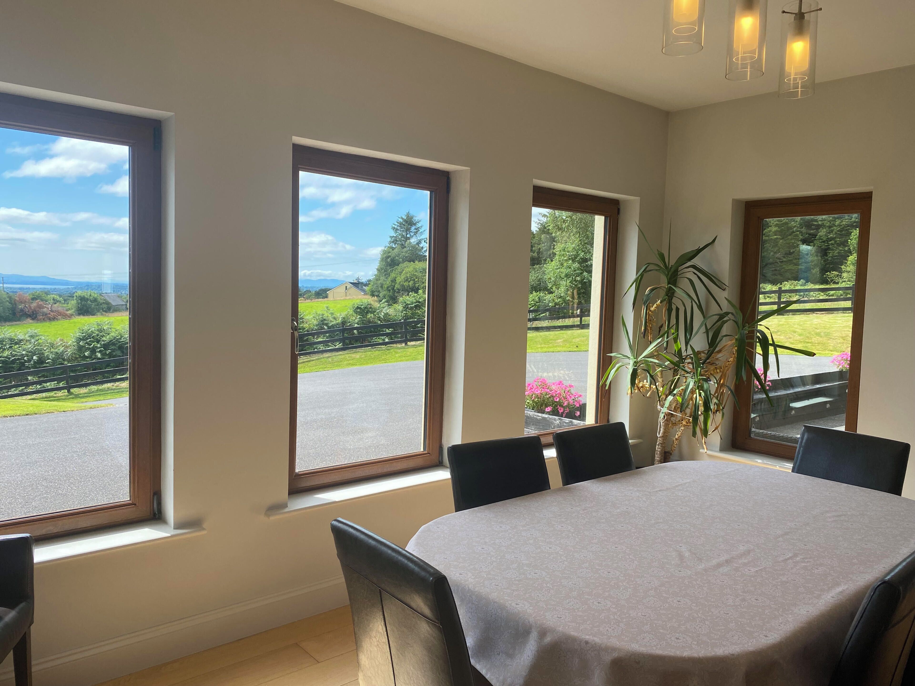 A dining area with a table and chairs, large windows with a view of greenery and a road, and a plant on the windowsill.