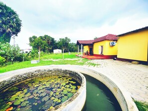 Halaman properti