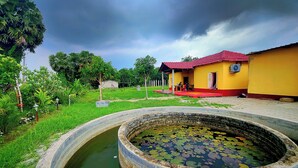 Paisagem rural com um edifício amarelo, um lago com folhas de nenúfar e vegetação ao redor.