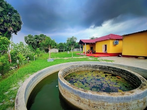 Property grounds - Jo stel Kaia Farm Stay (Bolpur)