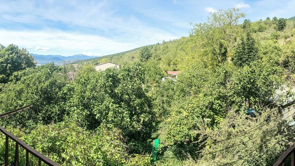 Eine gebirgige Landschaft mit dichtem Grün, einigen Gebäuden und wolkenlosem Himmel.