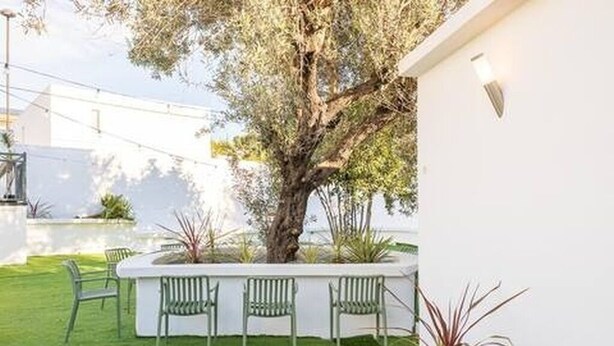 A patio area with a white wall, a large tree, and three green chairs. - Apartment at Origen Tepoztlán 8 (Torrent)