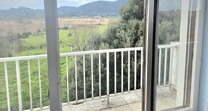 Hotel Quinfer - Quadruple Room with View of the Marshes