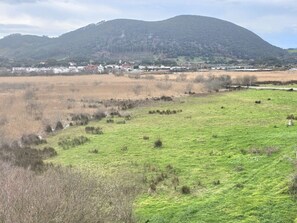 Imagen general