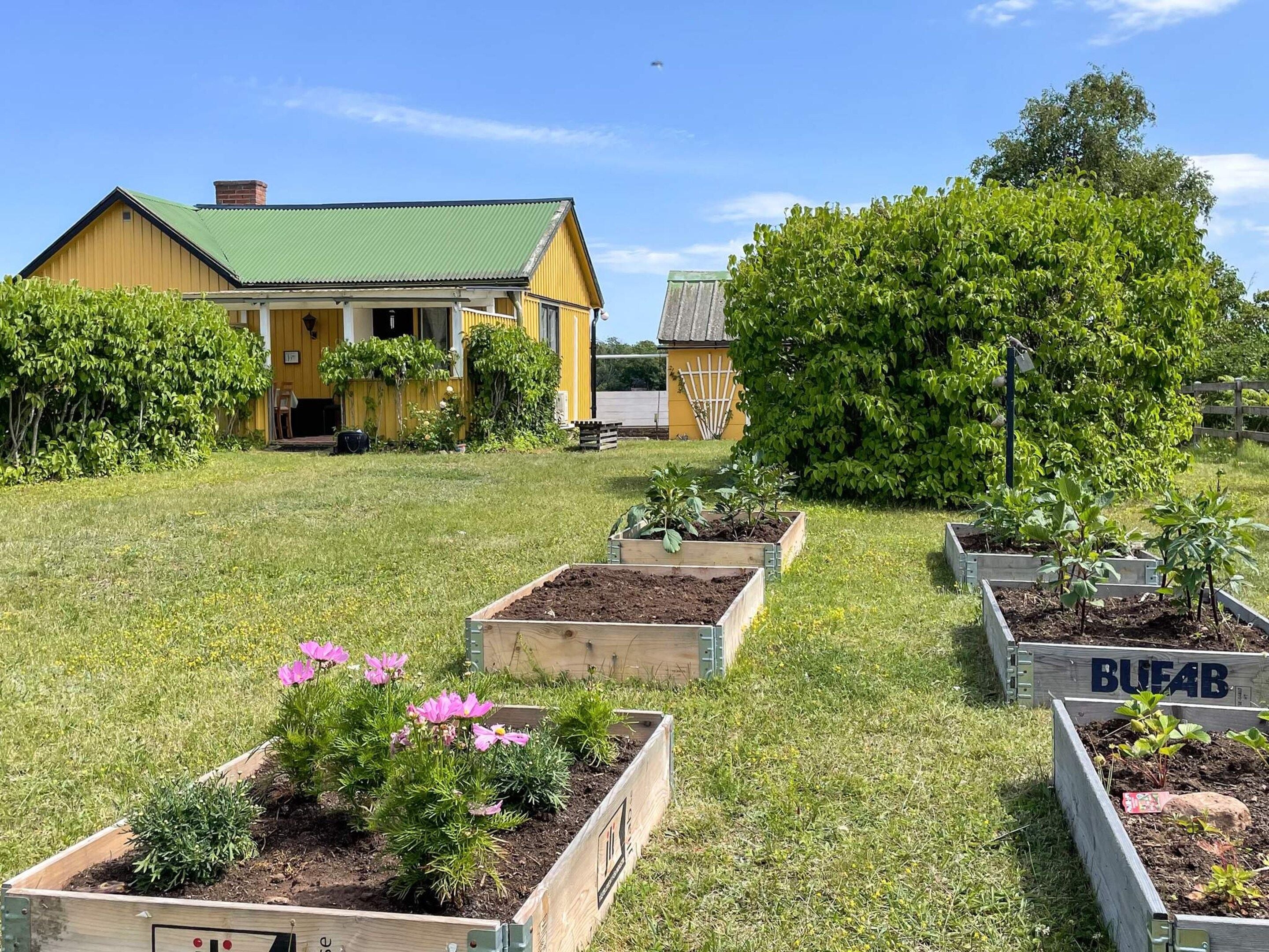 Um imóvel residencial com casa de telhado verde, quintal cercado e canteiros elevados com diversas plantas.